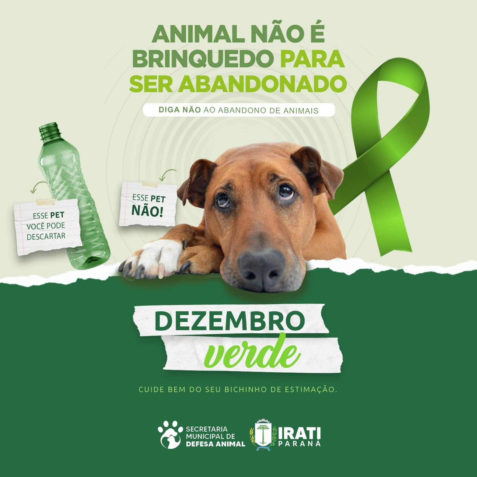 Dezembro Verde mês da campanha de proteção dos animais